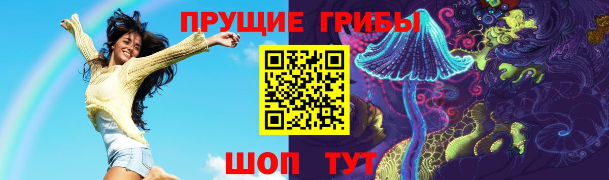 Йошкар-Ола  Псилоцибиновые грибы Cubensis  Вход с VPN 